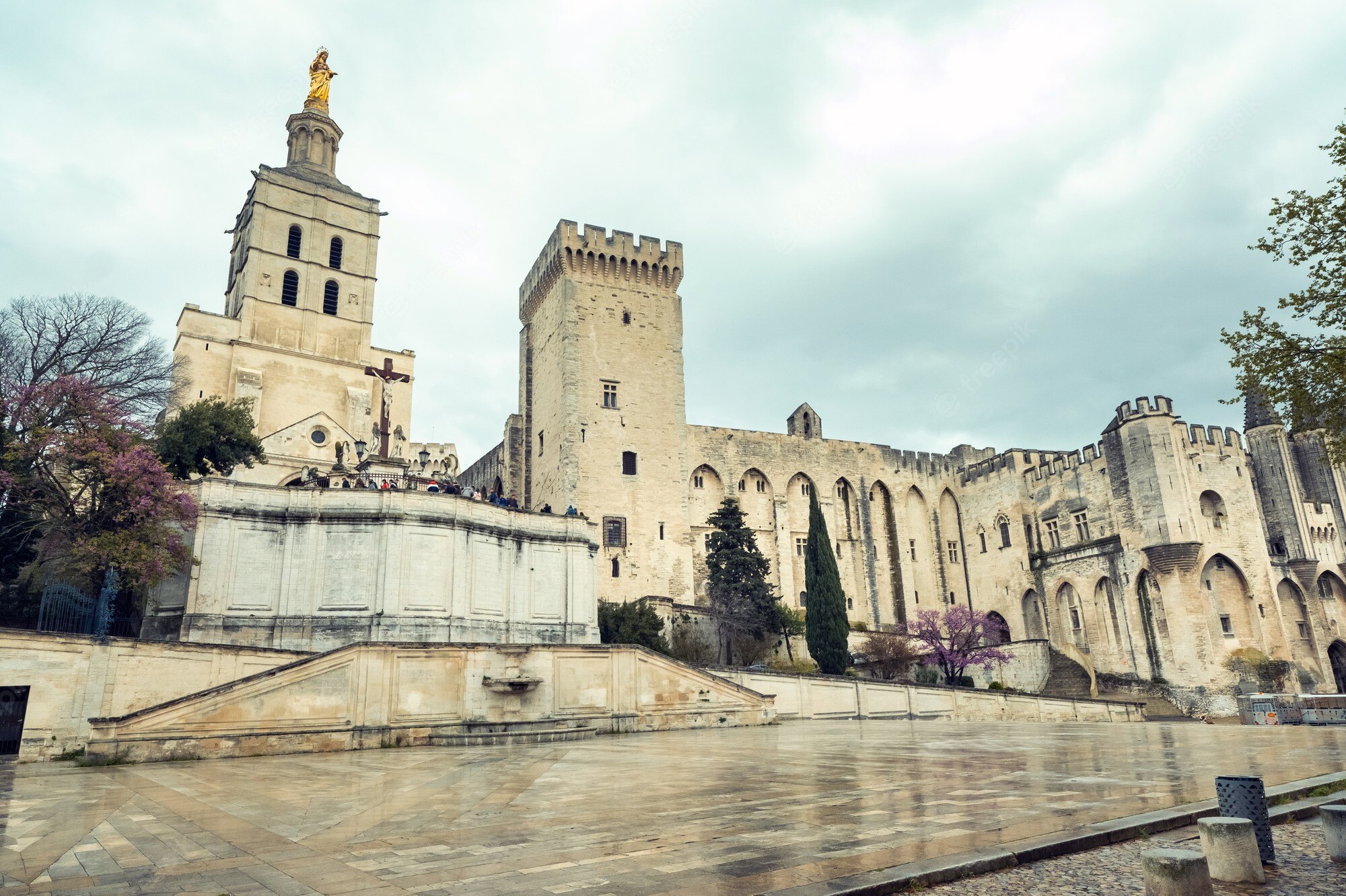 Cathedral Avignon Wallpapers