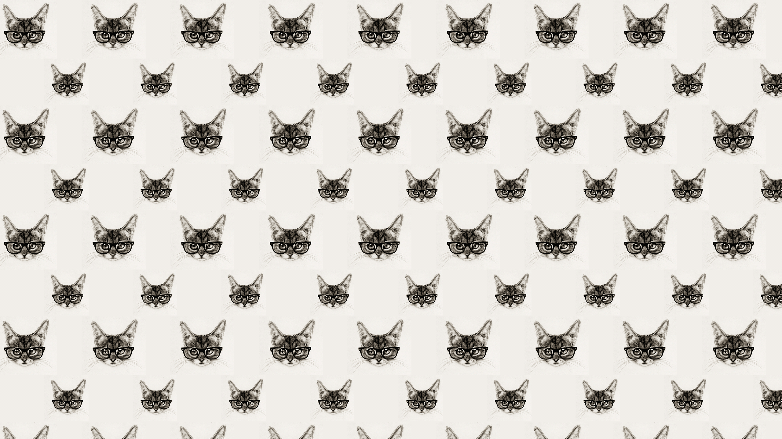 Cats Tumblr Background