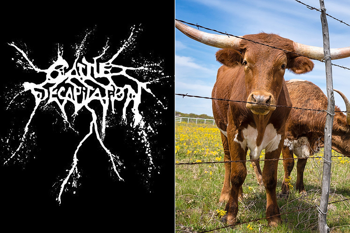 Cattle Decapitation Wallpapers