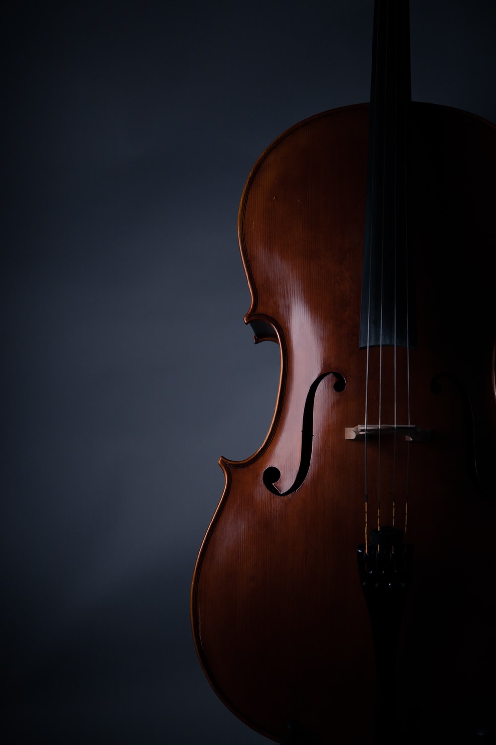 Cello Wallpapers