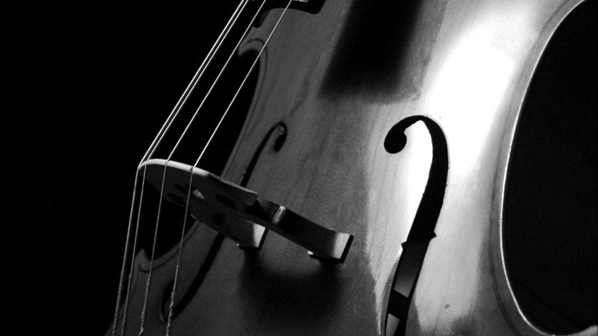 Cello Wallpapers