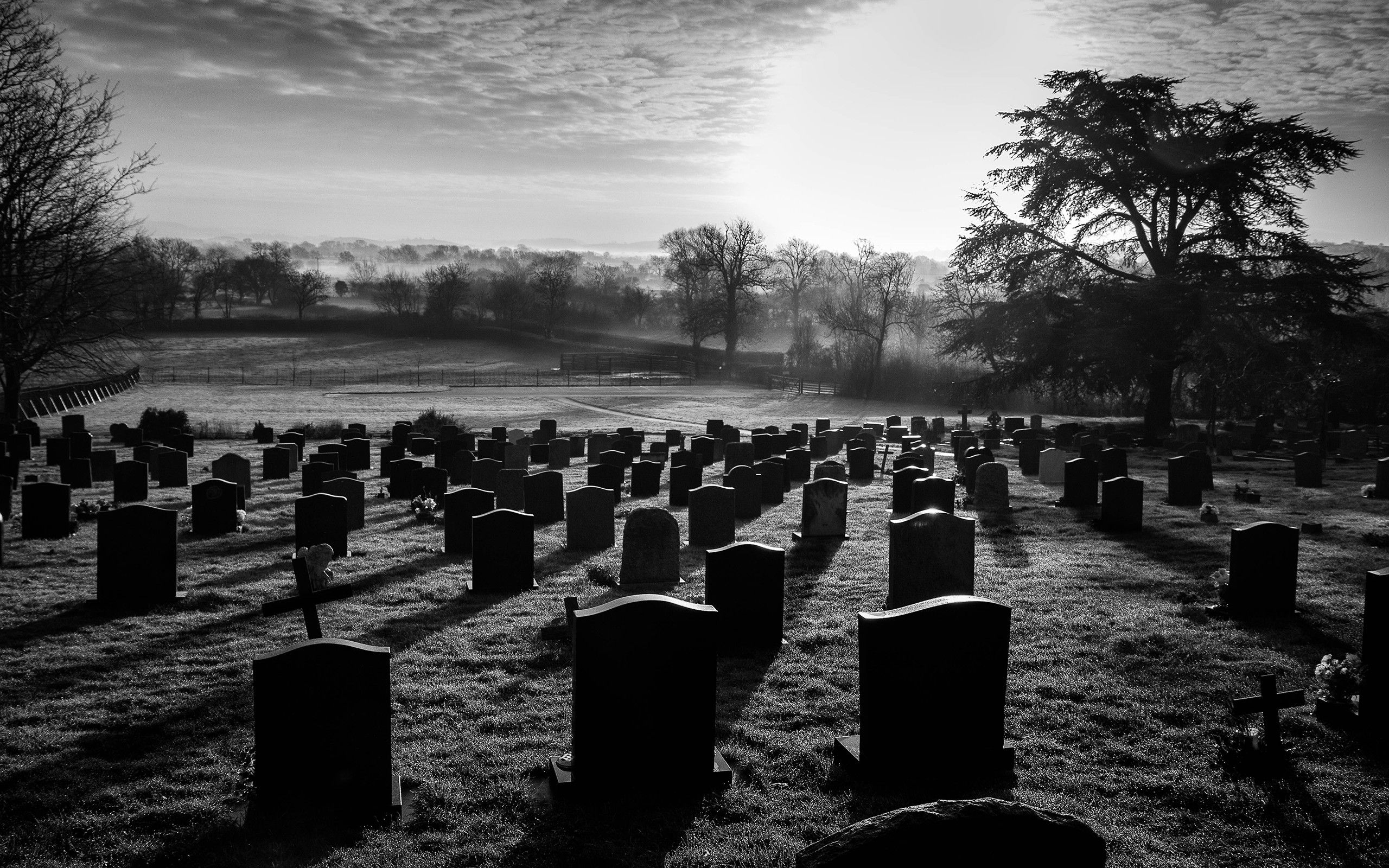 Cemetery Backgrounds