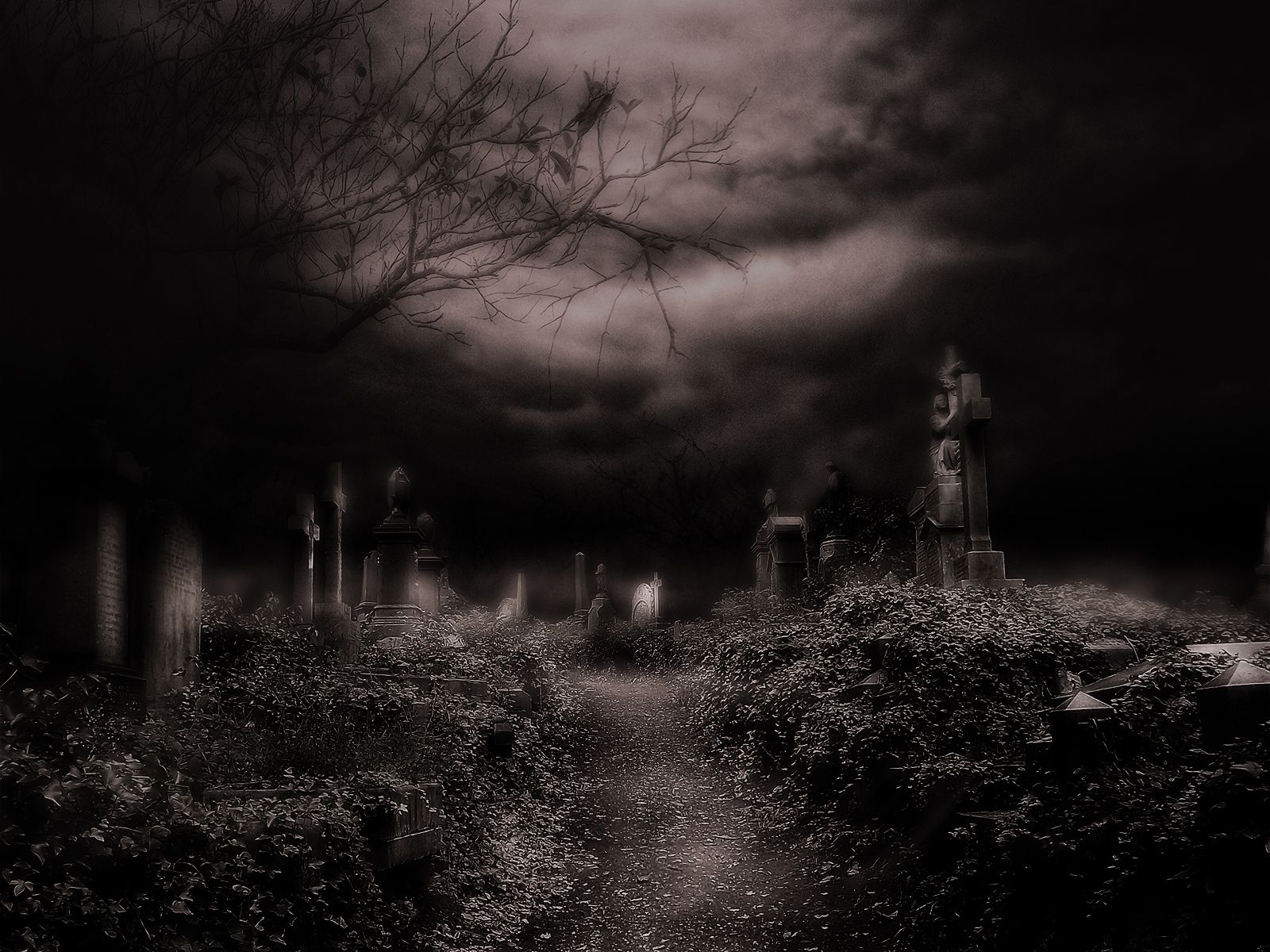 Cemetery Backgrounds