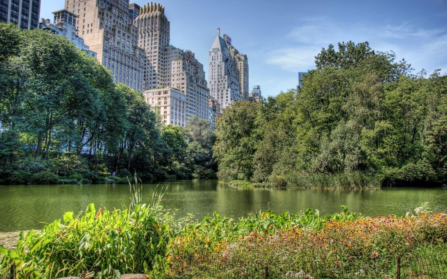 Central Park 4K Wallpapers