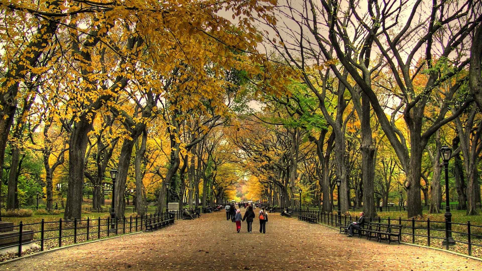 Central Park Fall Wallpapers