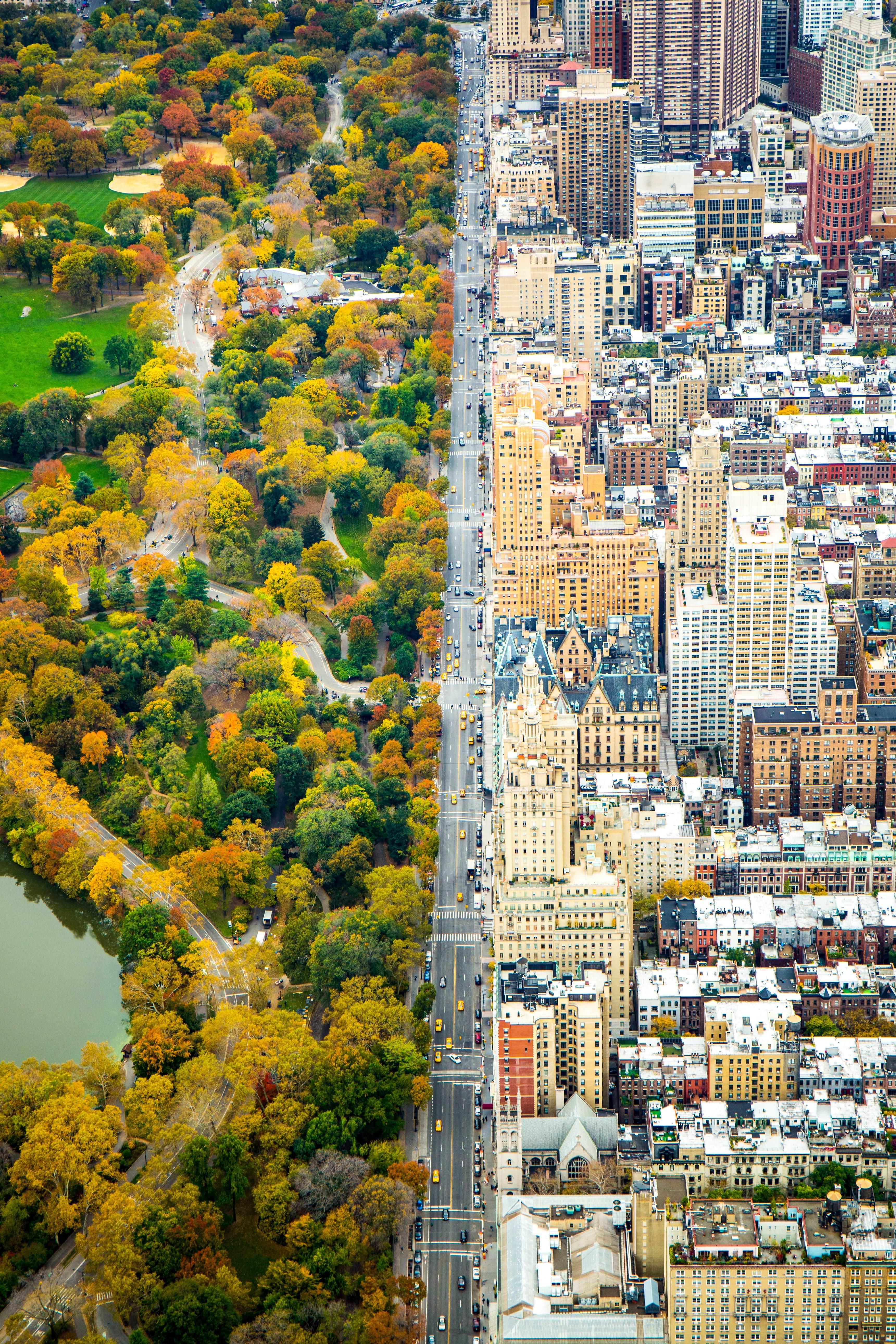 Central Park Fall Wallpapers