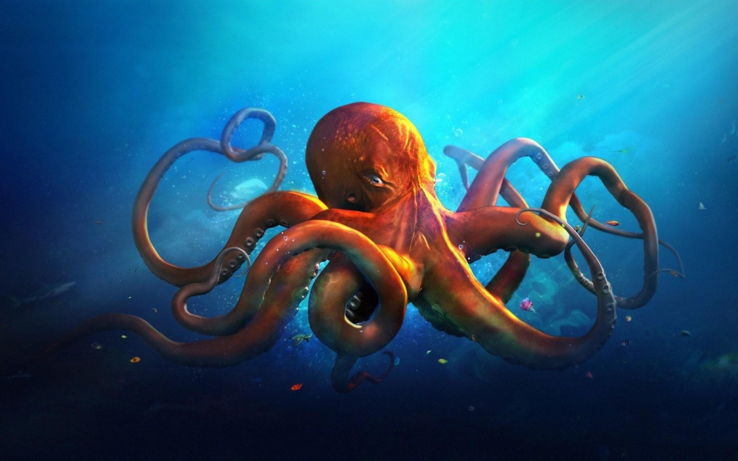 Cephalopod Wallpapers