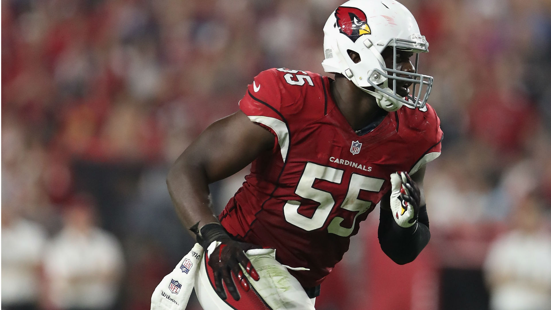 Chandler Jones Wallpapers