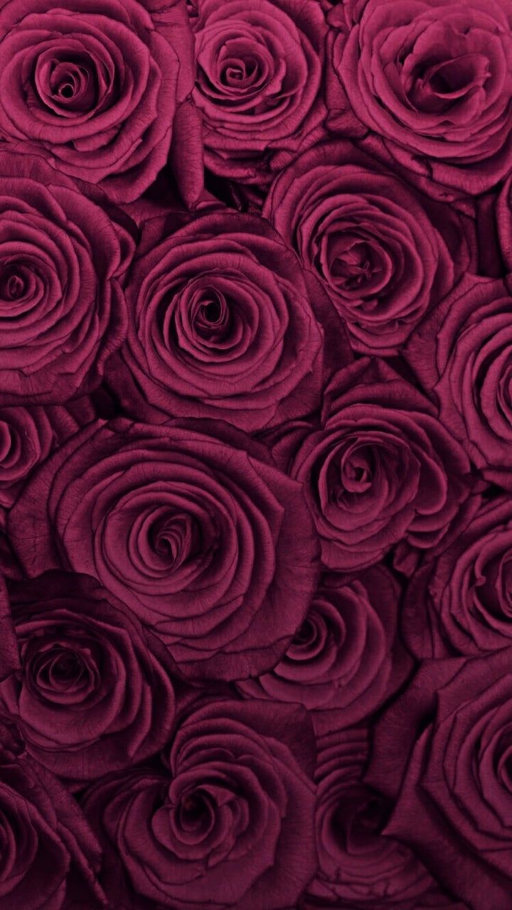 Chanel Roses Wallpapers