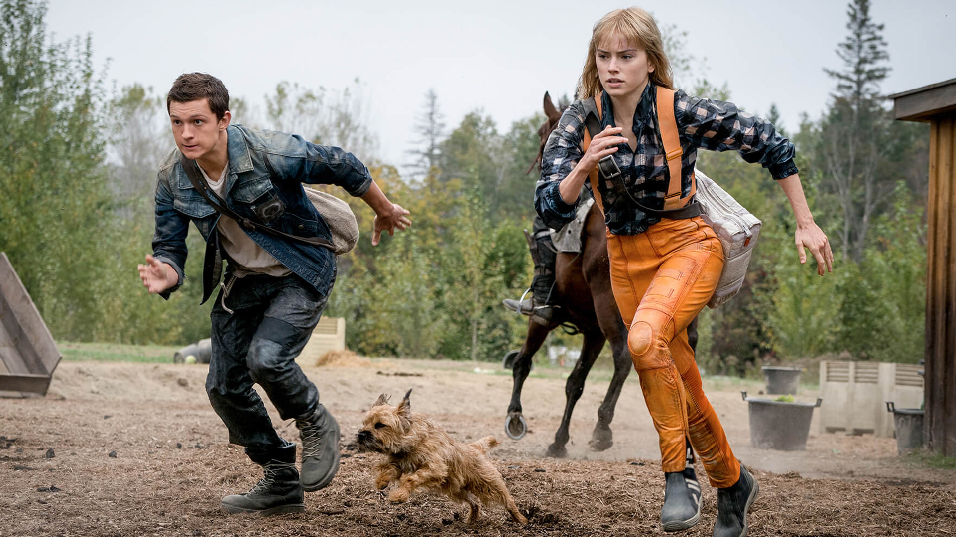 Chaos Walking 2021 Wallpapers