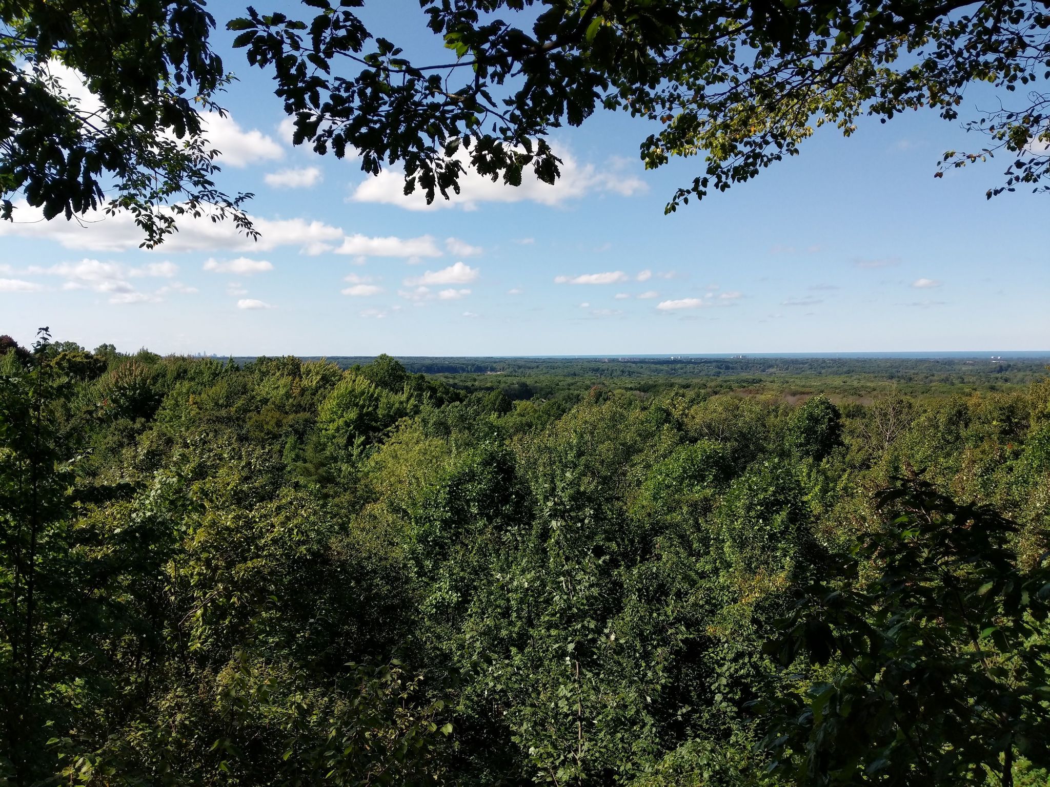 Chapin Forest Reservation Evening Wallpapers