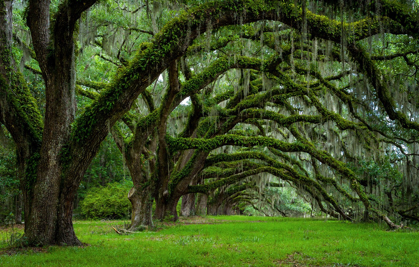 Charleston Sc Wallpapers