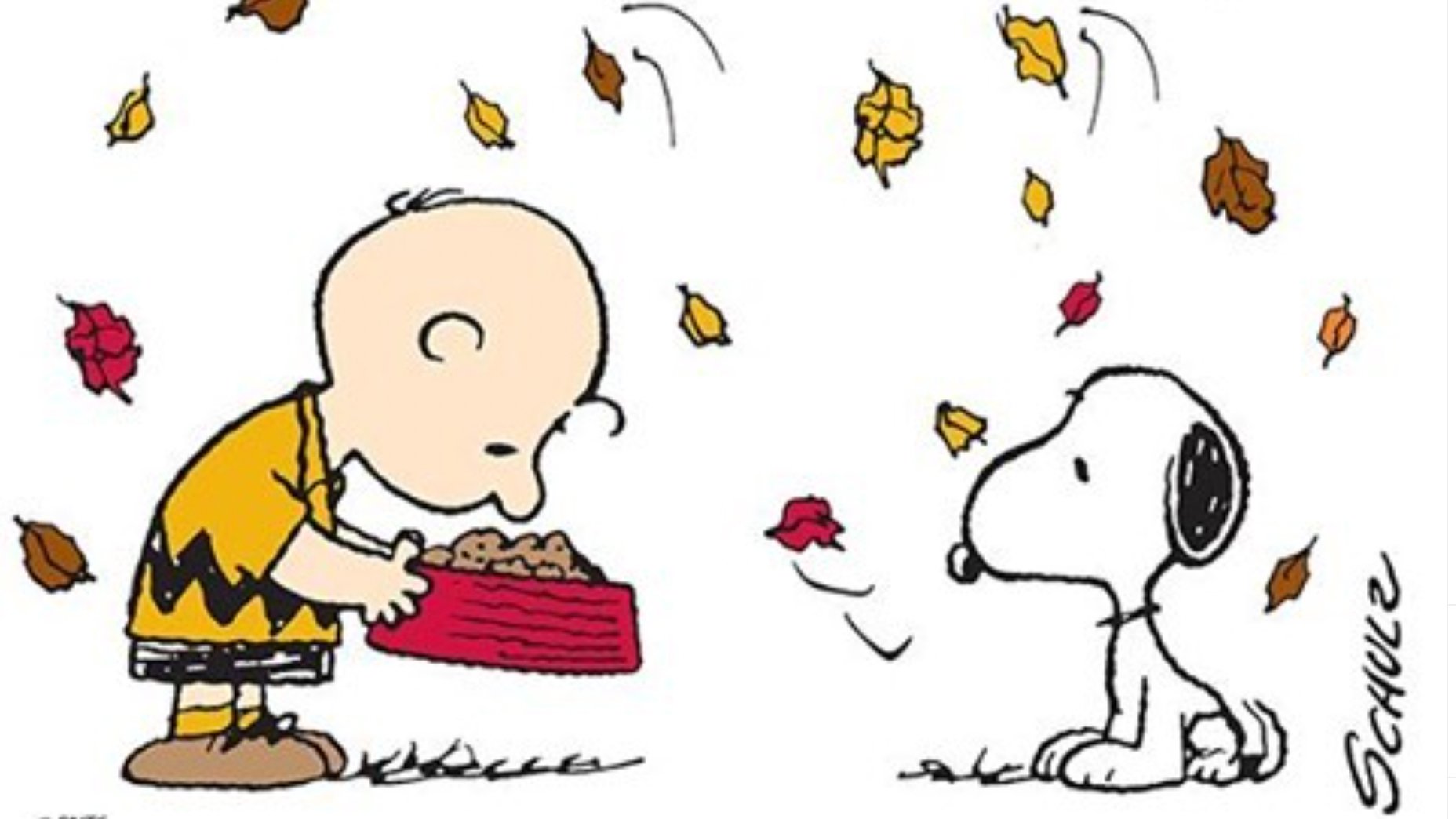 Charlie Brown Thanksgiving Background