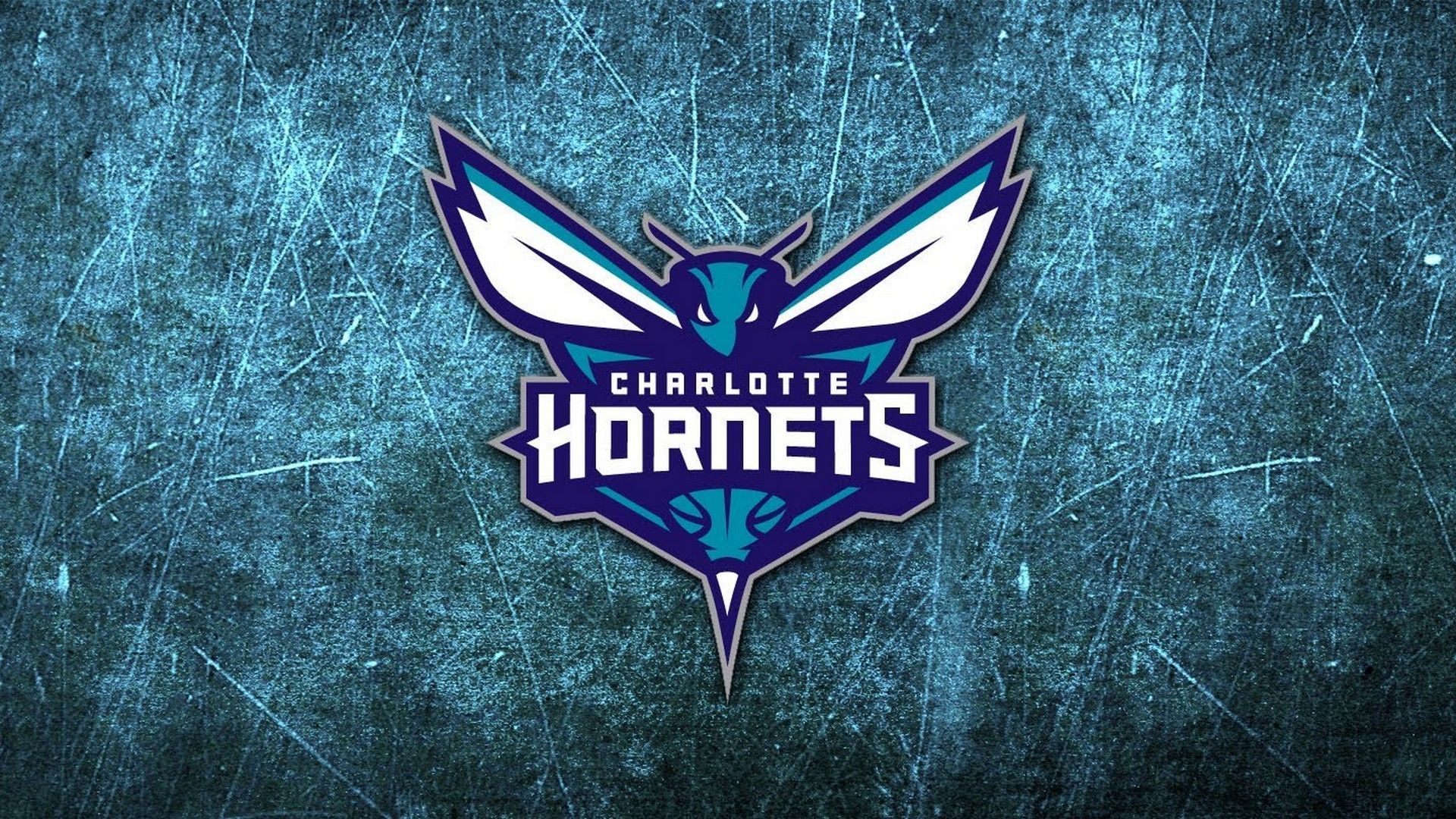 Charlotte Hornets Wallpapers