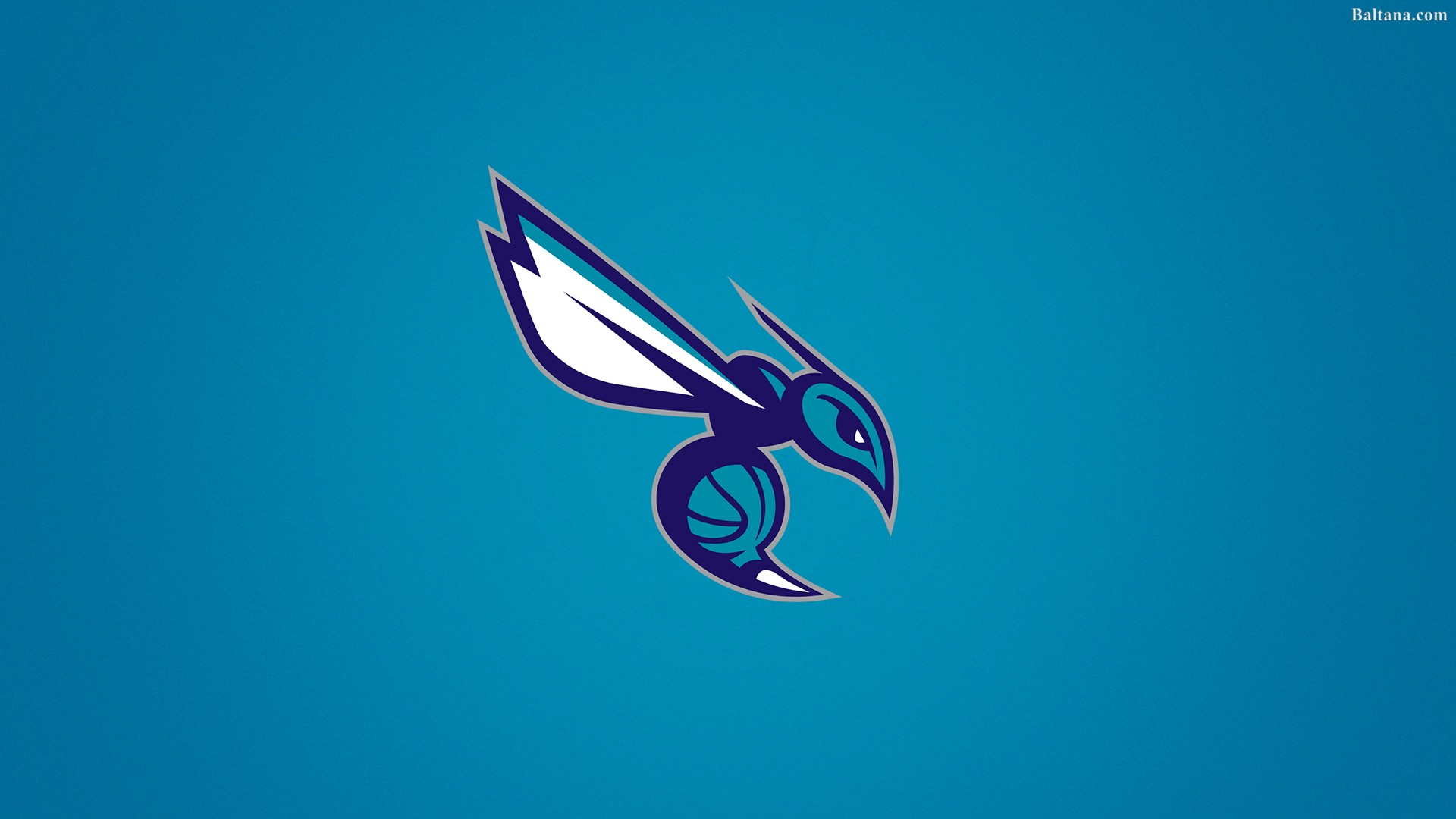 Charlotte Hornets Wallpapers