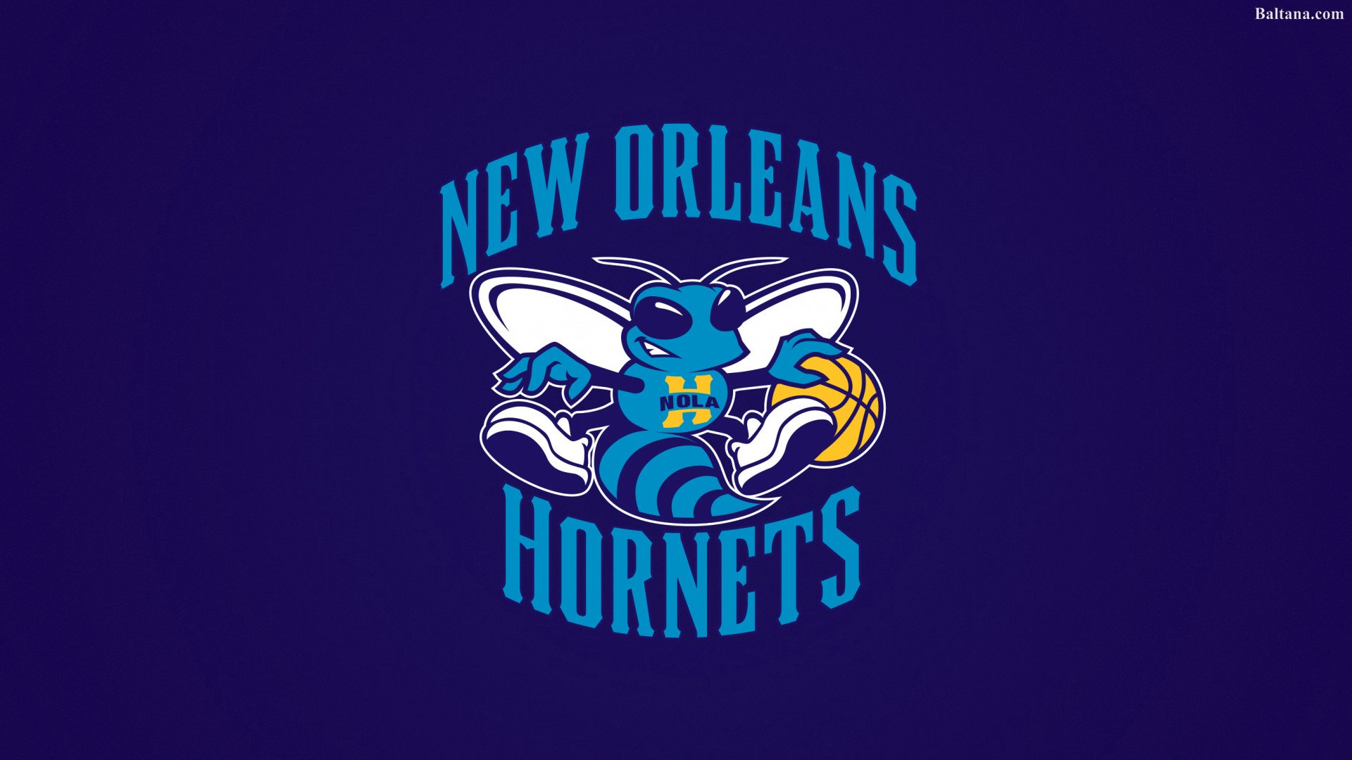 Charlotte Hornets Wallpapers