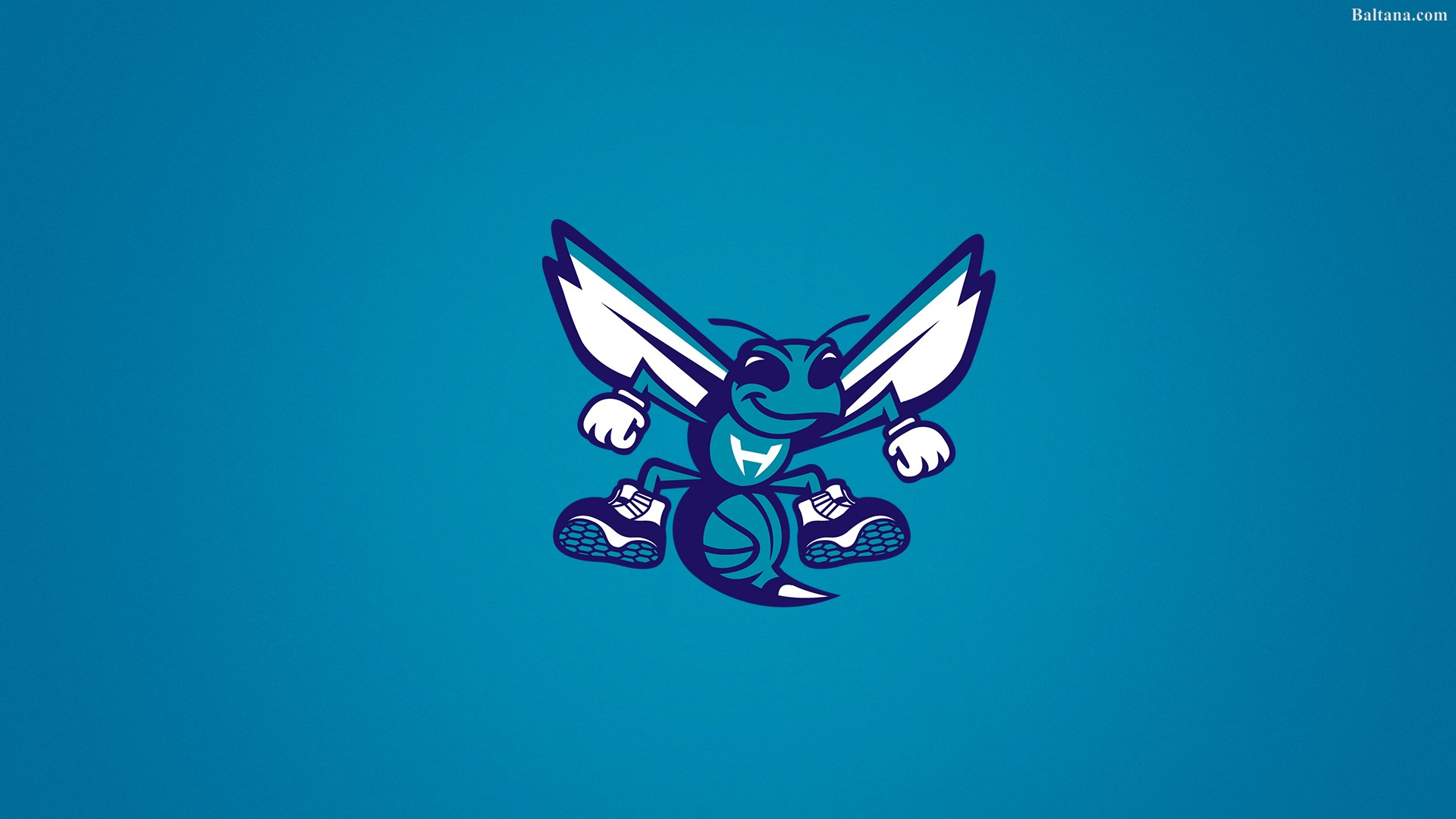 Charlotte Hornets Wallpapers