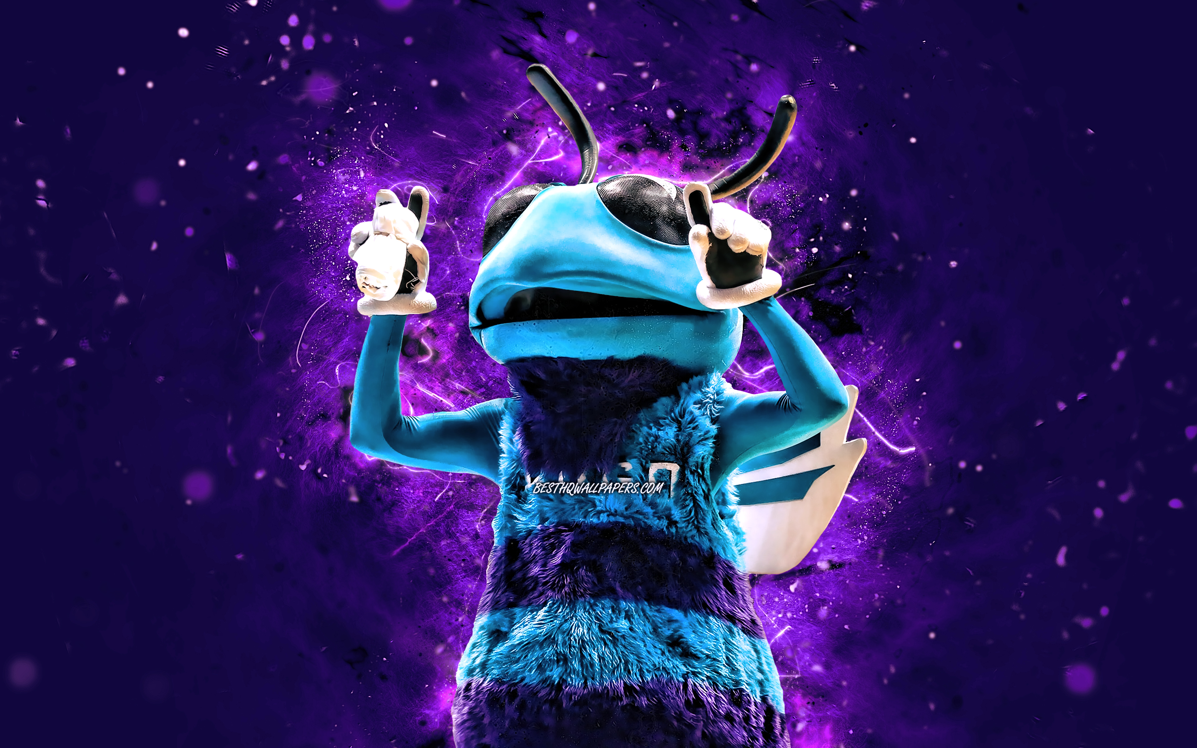 Charlotte Hornets Wallpapers