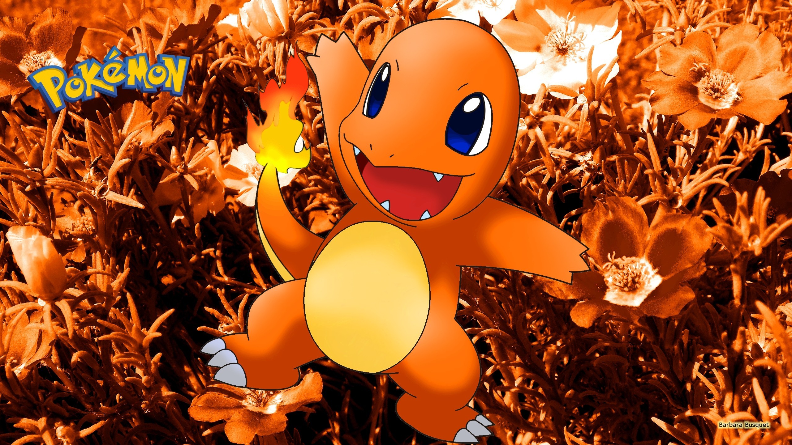 Charmander Hd Wallpapers