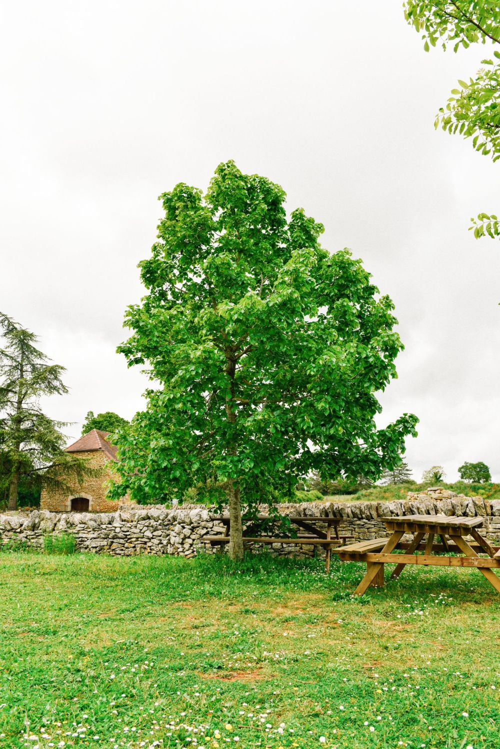 Chateau De La Treyne Wallpapers