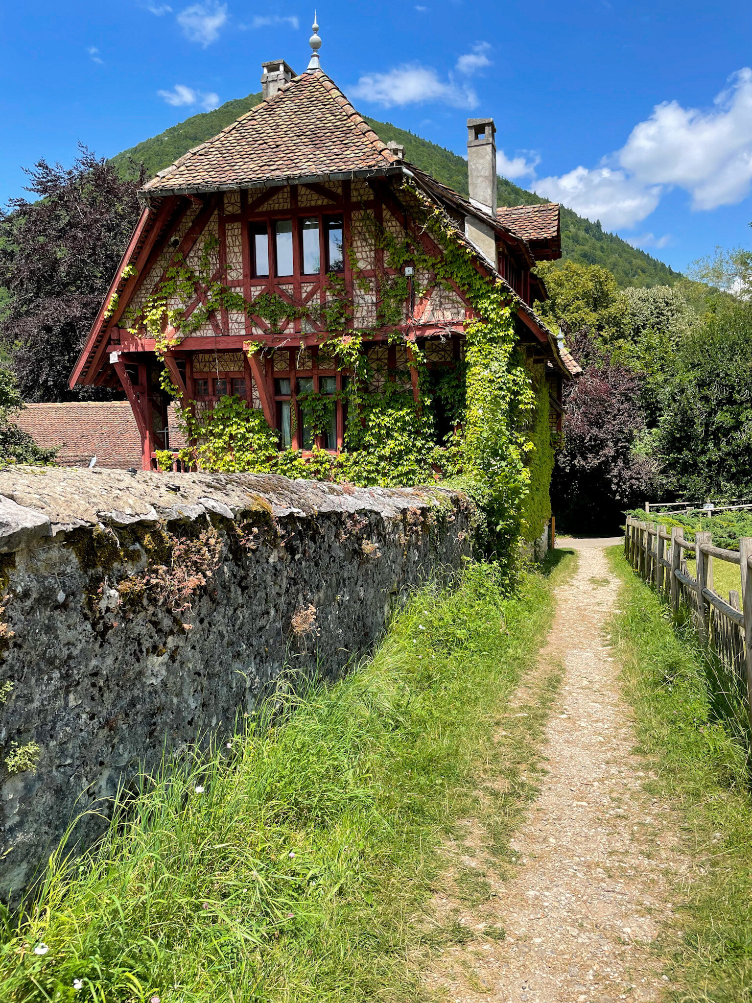 Chateau De Menthon St. Bernard Wallpapers