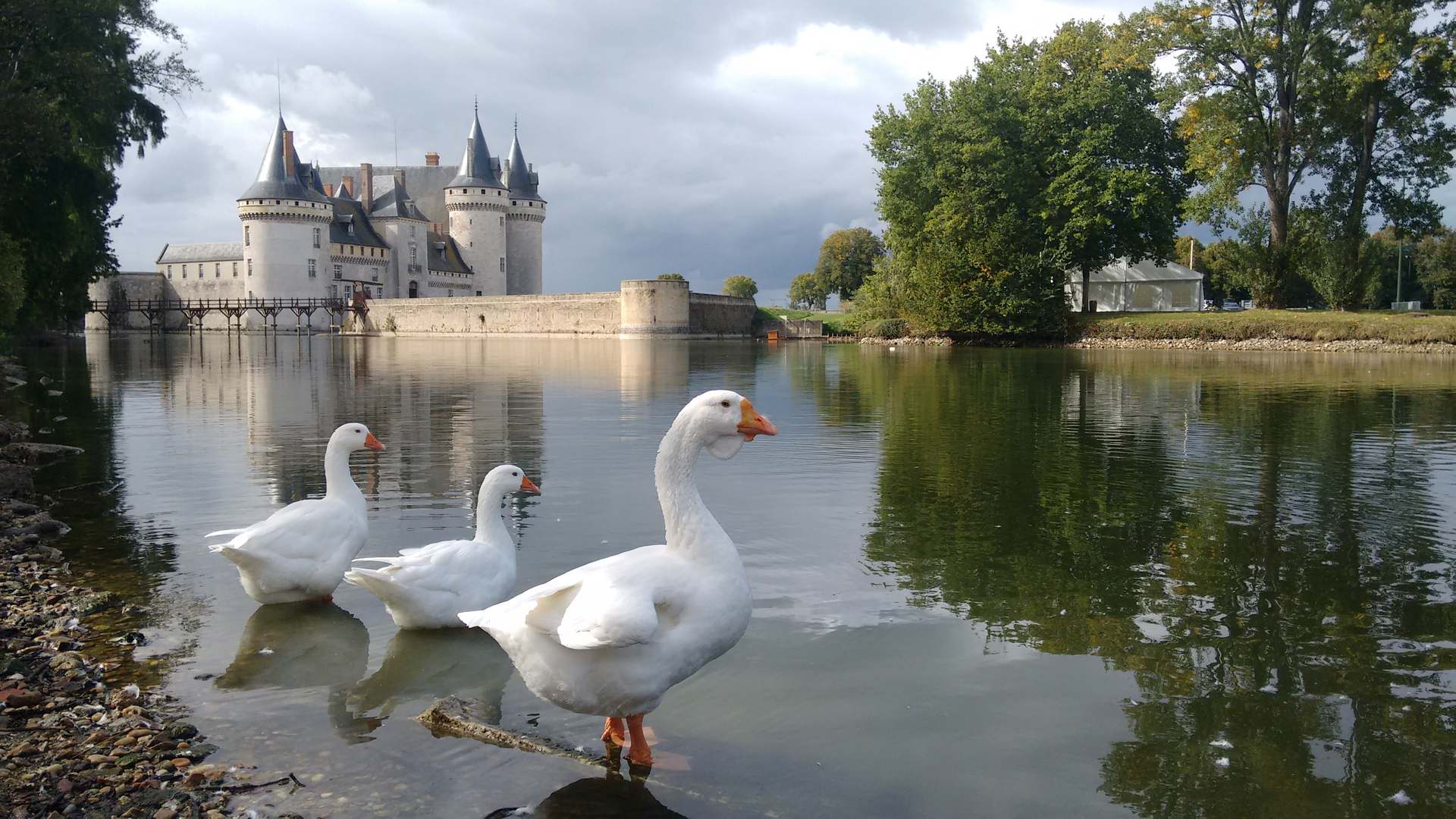 Chateau De Sully-Sur-Loire Wallpapers