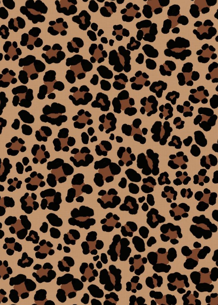 Cheetah Print Wallpapers