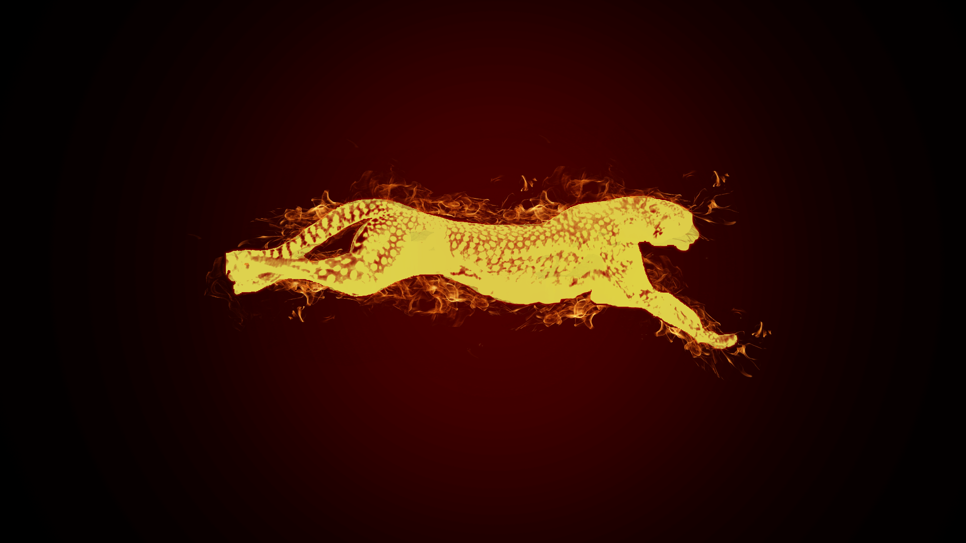 Cheetah Wallpapers