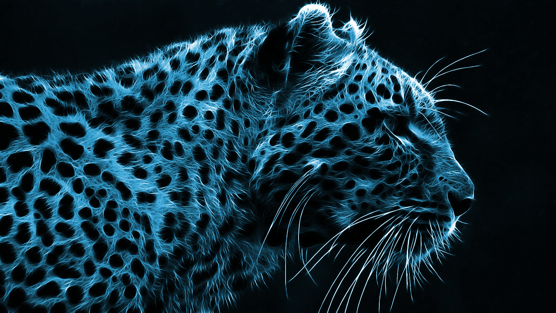 Cheetah Wallpapers