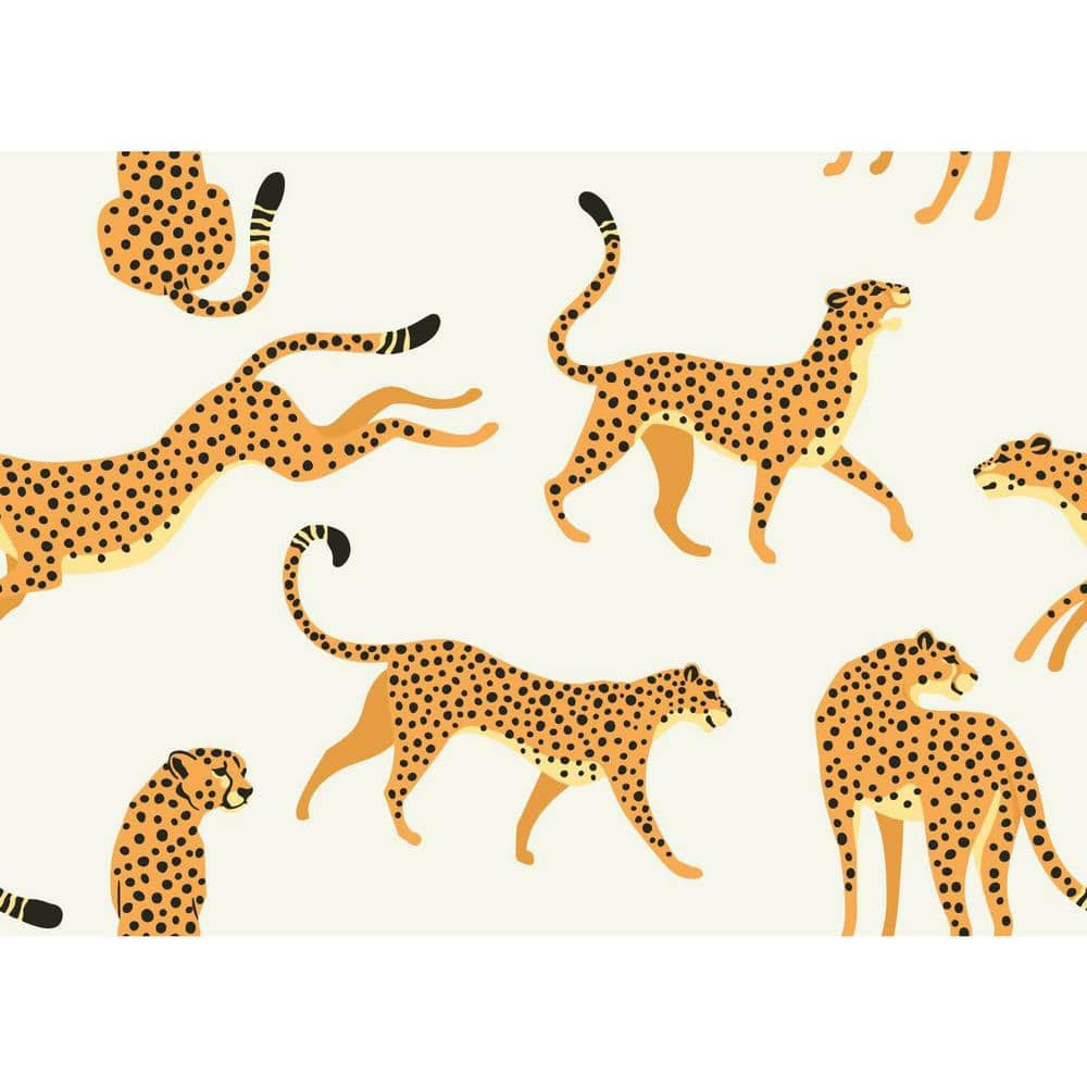 Cheetah Wallpapers