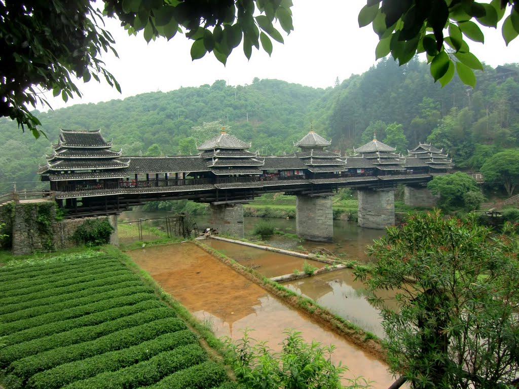 Chengyang Bridge Wallpapers