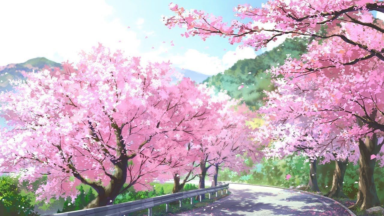 Cherry Blossom Anime Aesthetic Wallpapers