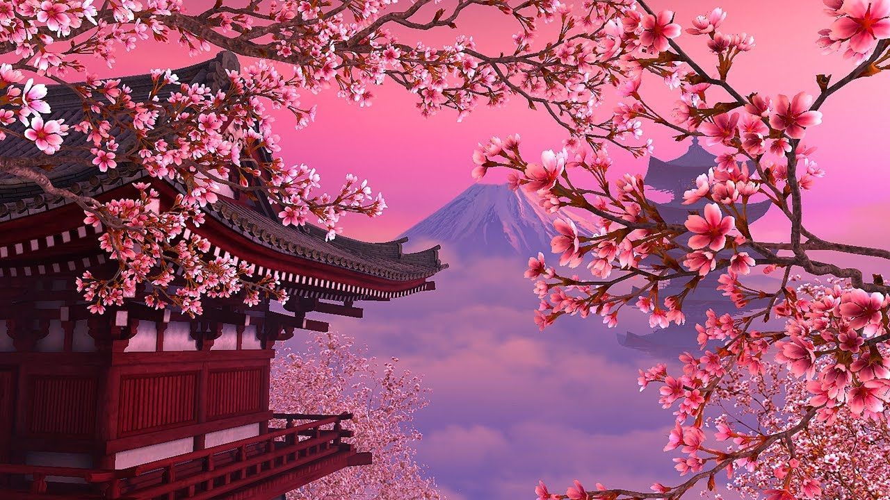 Cherry Blossom Anime Aesthetic Wallpapers