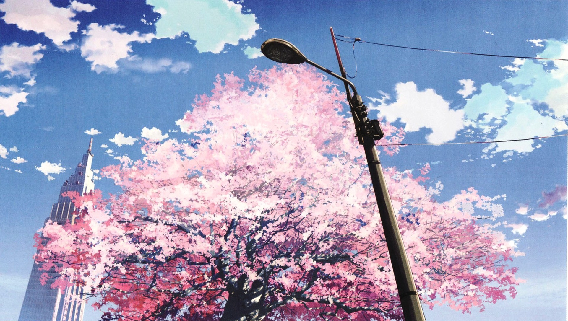 Cherry Blossom Anime Aesthetic Wallpapers