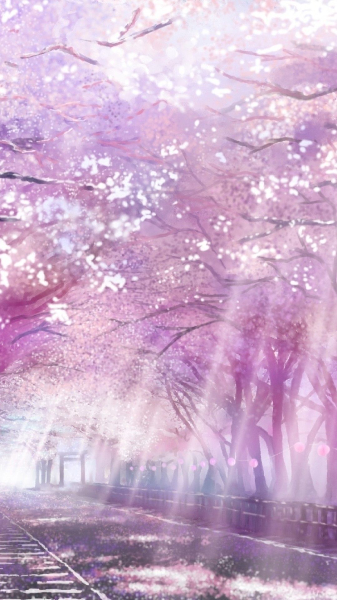 Cherry Blossom Anime Wallpapers