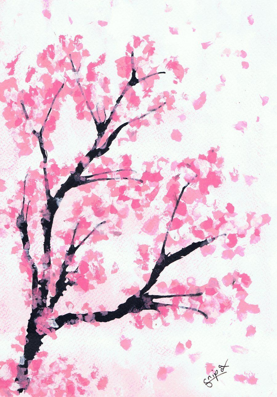 Cherry Blossom Drawing Wallpapers