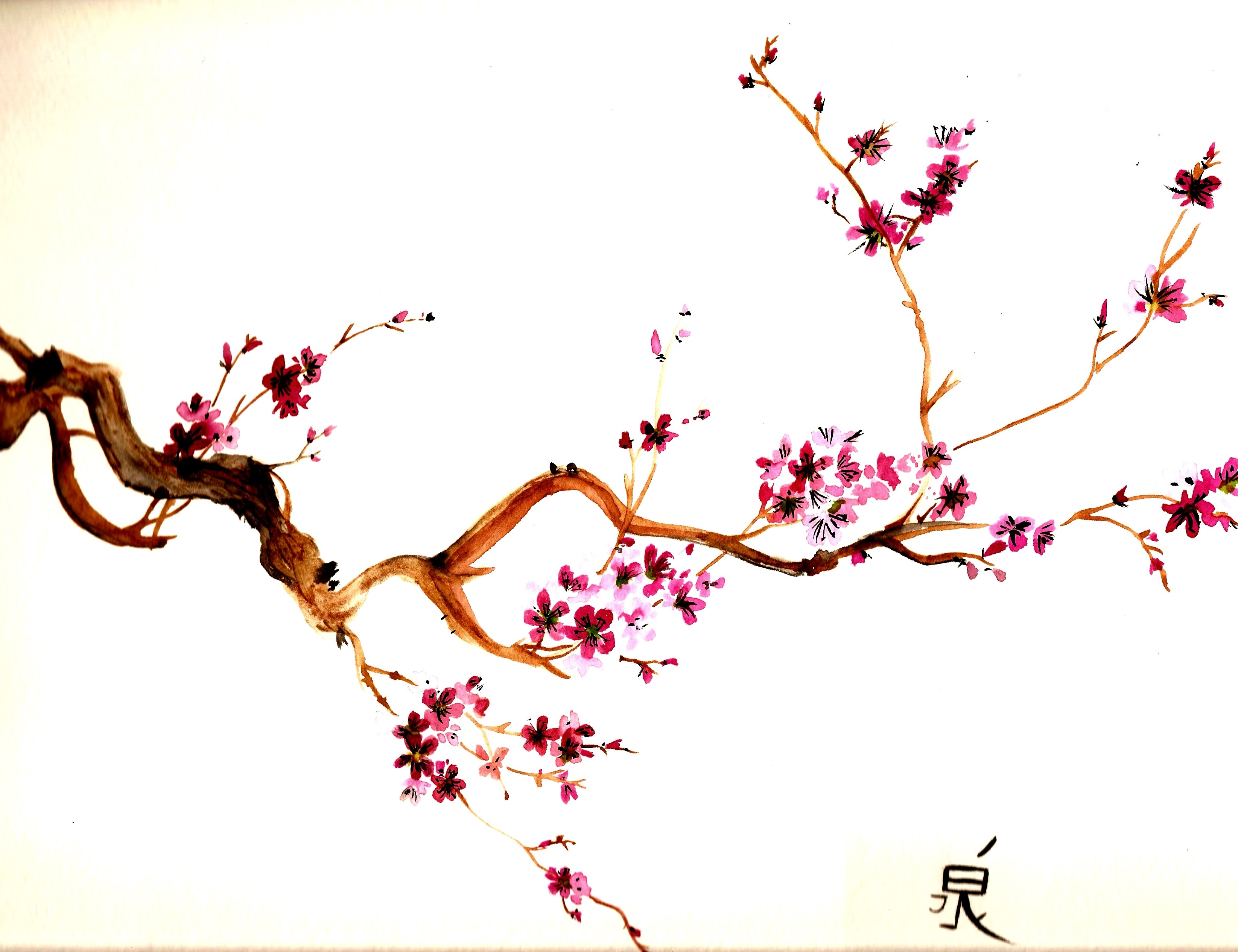 Cherry Blossom Drawing Wallpapers