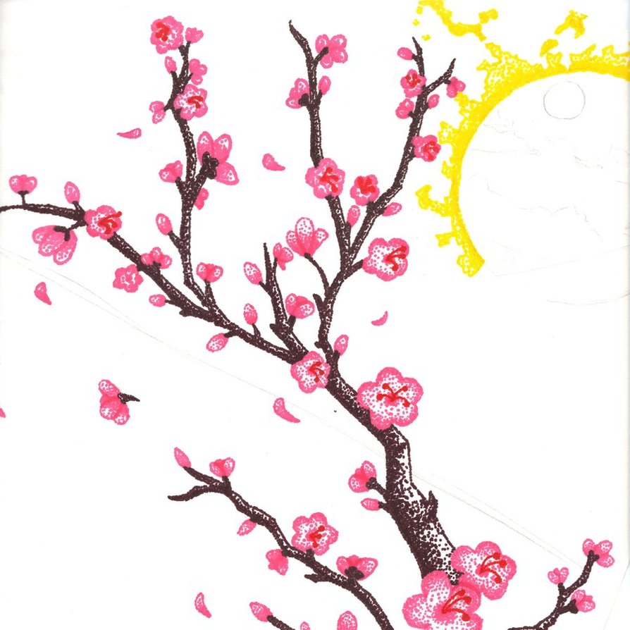 Cherry Blossom Drawing Wallpapers