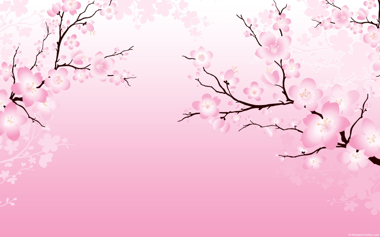 Cherry Blossom Hd Wallpapers