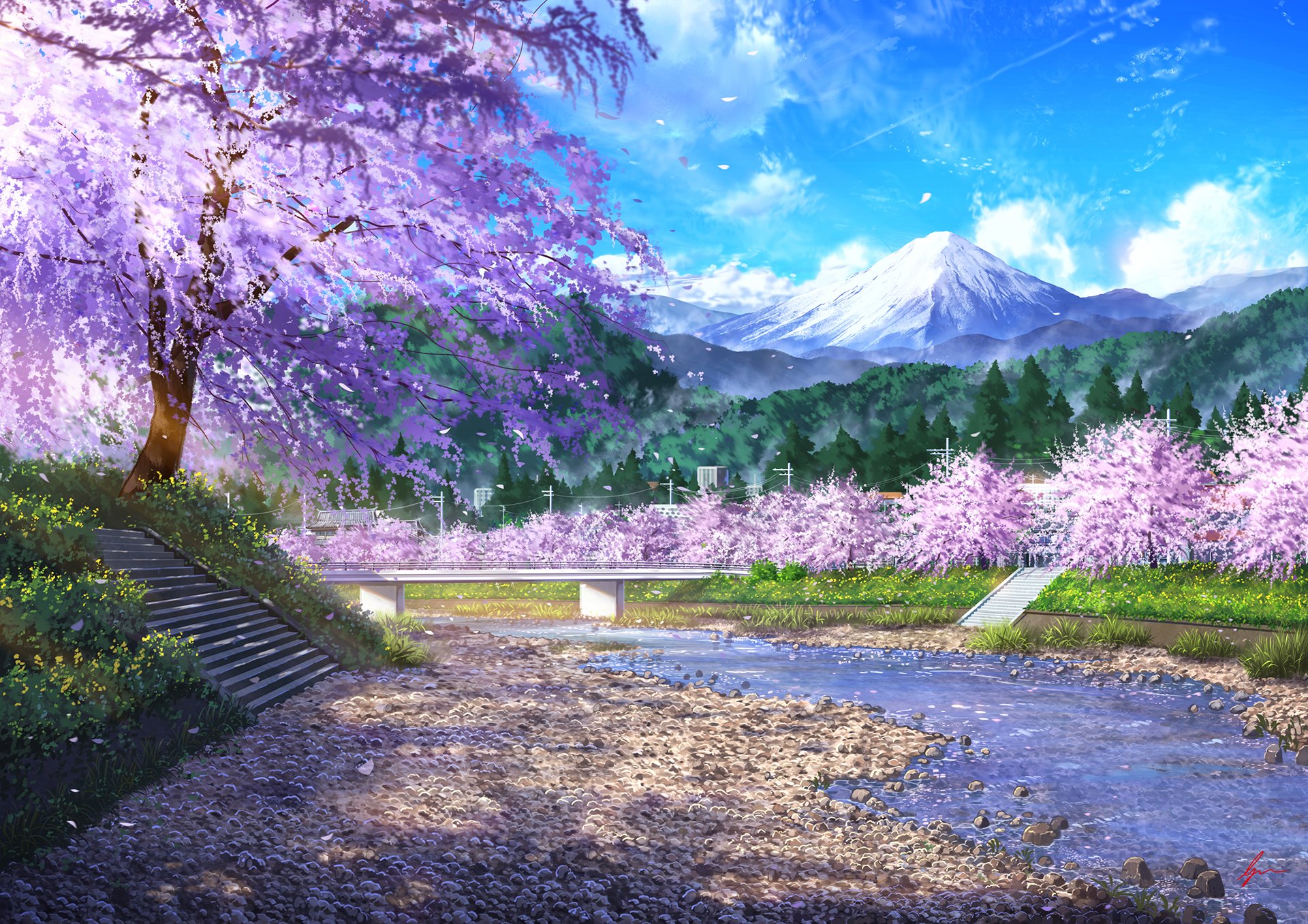 Cherry Blossom Hd Wallpapers