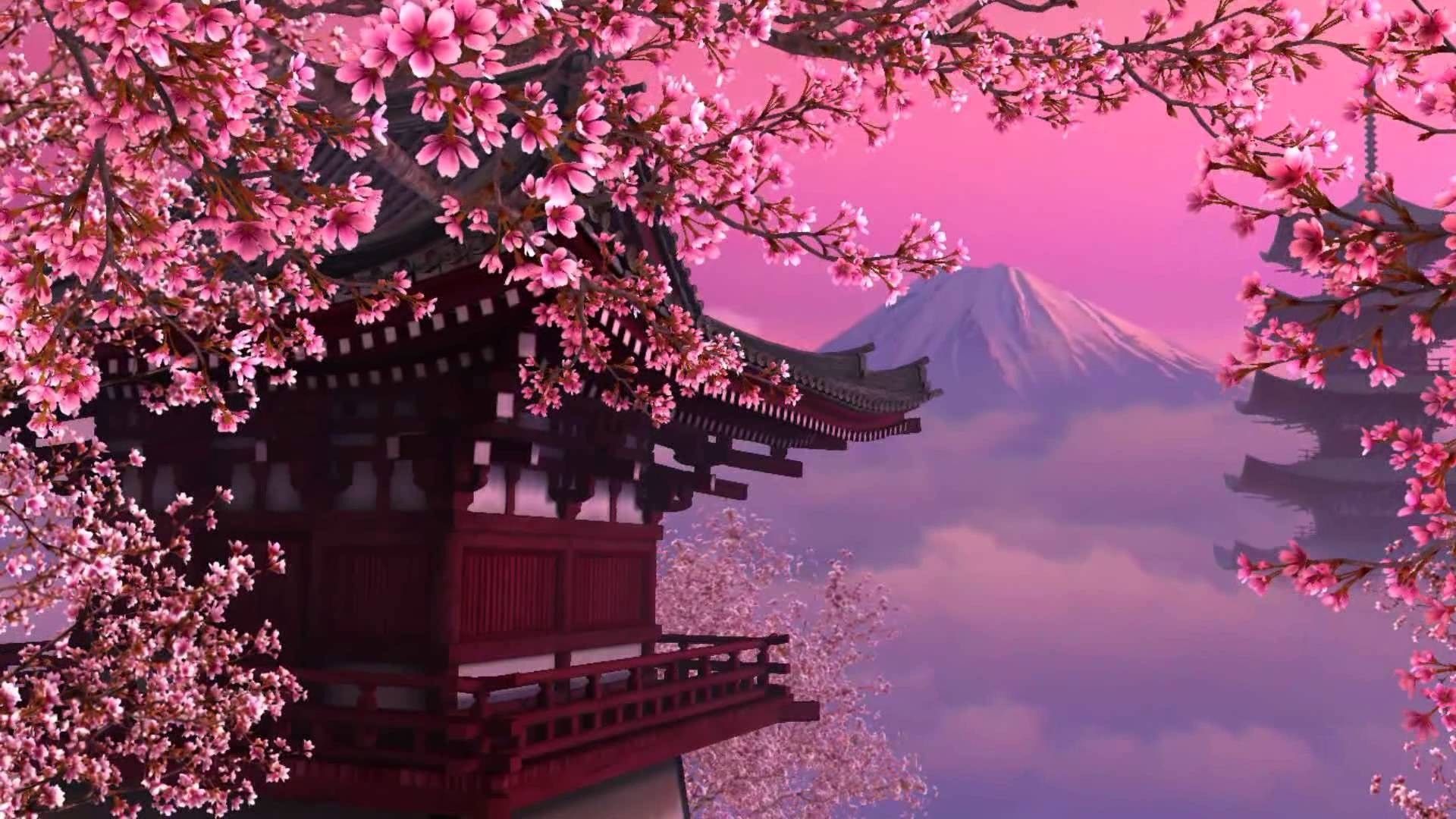 Cherry Blossom Laptop Wallpapers