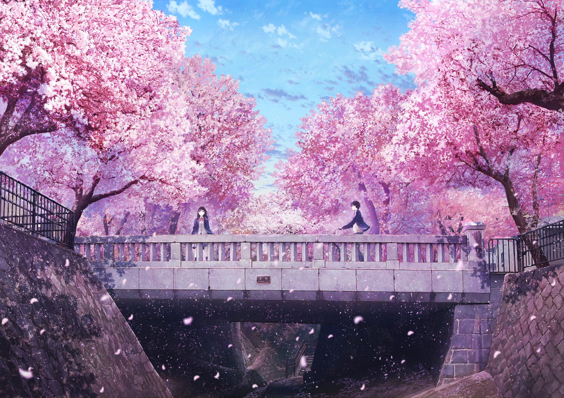 Cherry Blossom Laptop Wallpapers