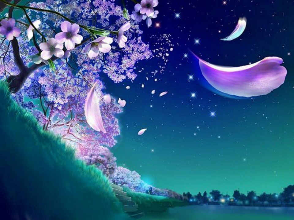 Cherry Blossom Night Wallpapers