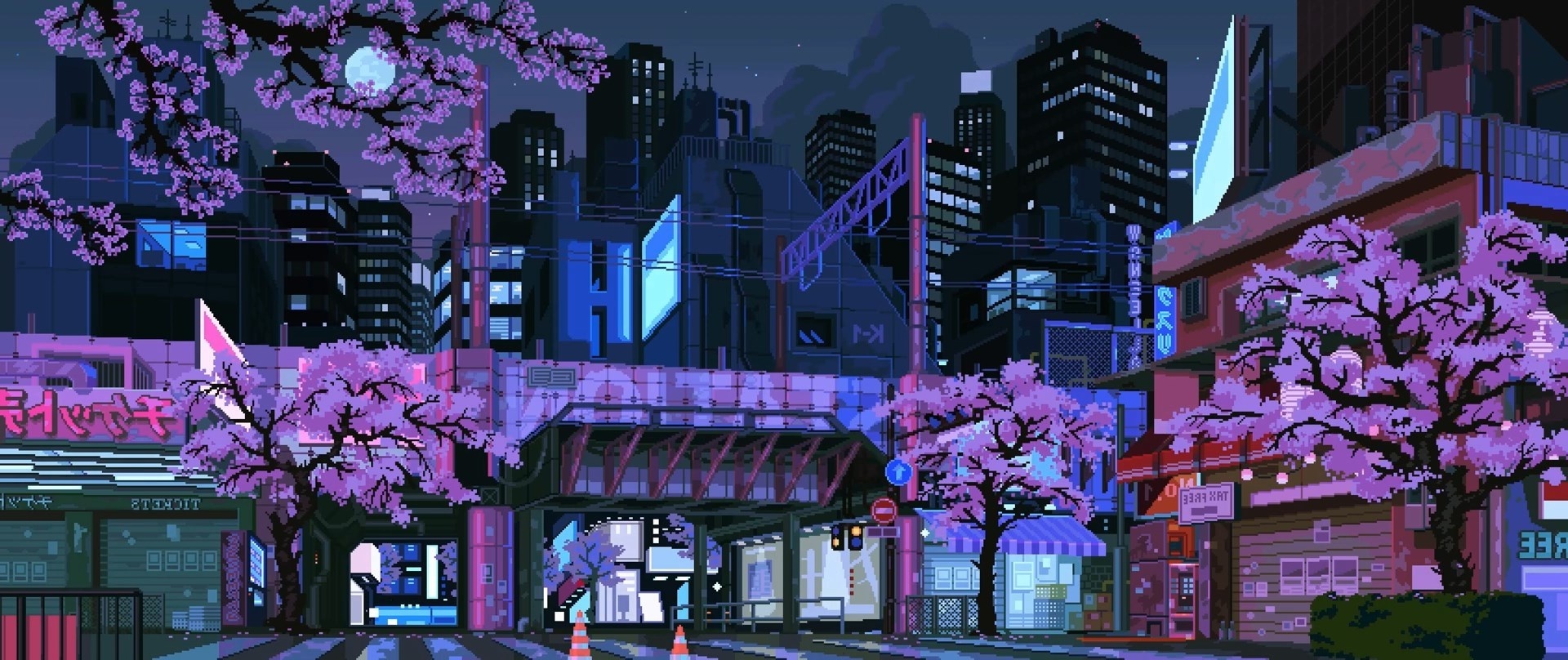 Cherry Blossom Night Wallpapers