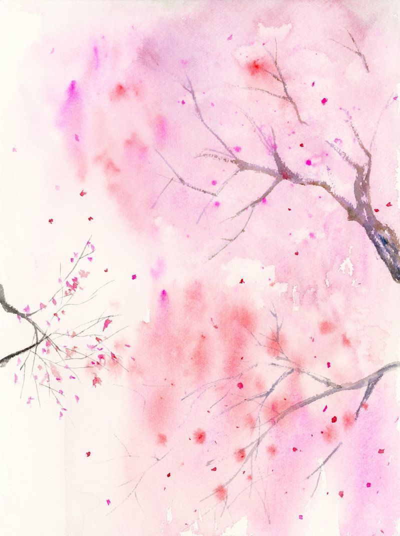 Cherry Blossom Painting Wallpapers