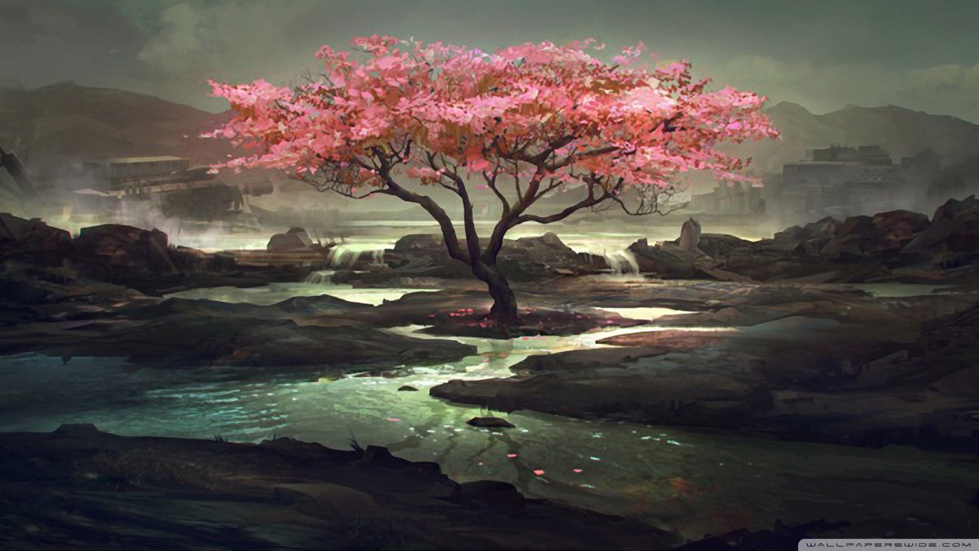 Cherry Blossom Painting Wallpapers