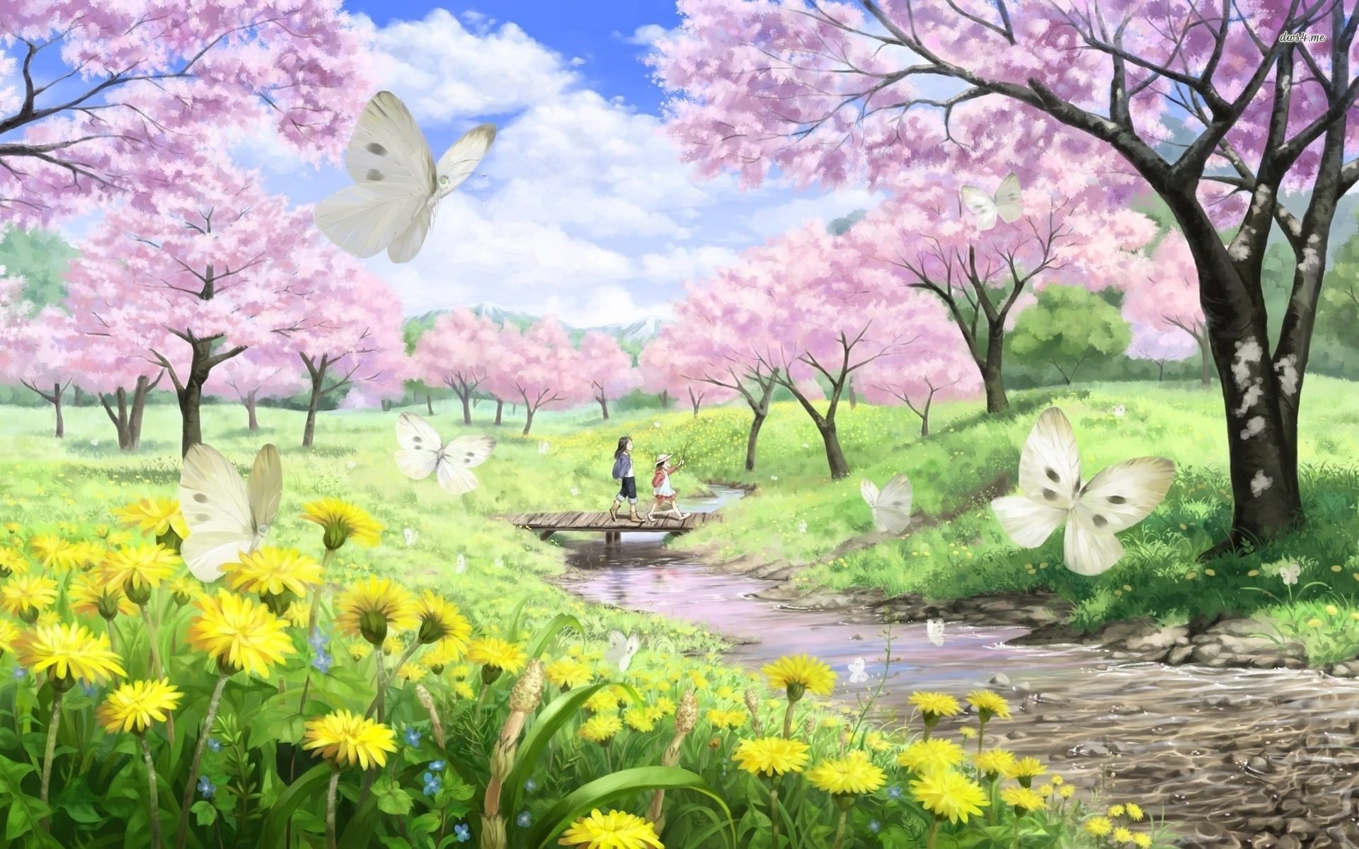 Cherry Blossoms Anime Scenery Wallpapers