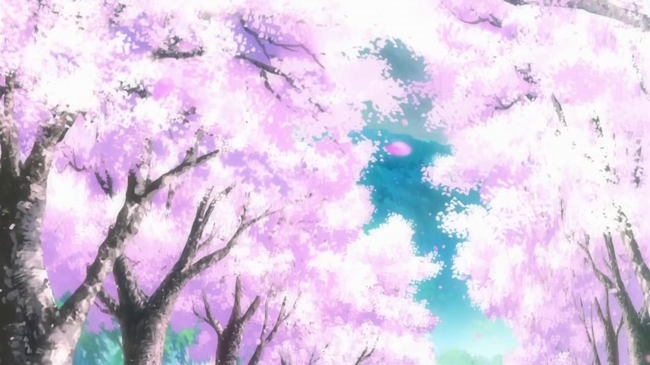 Cherry Blossoms Anime Scenery Wallpapers