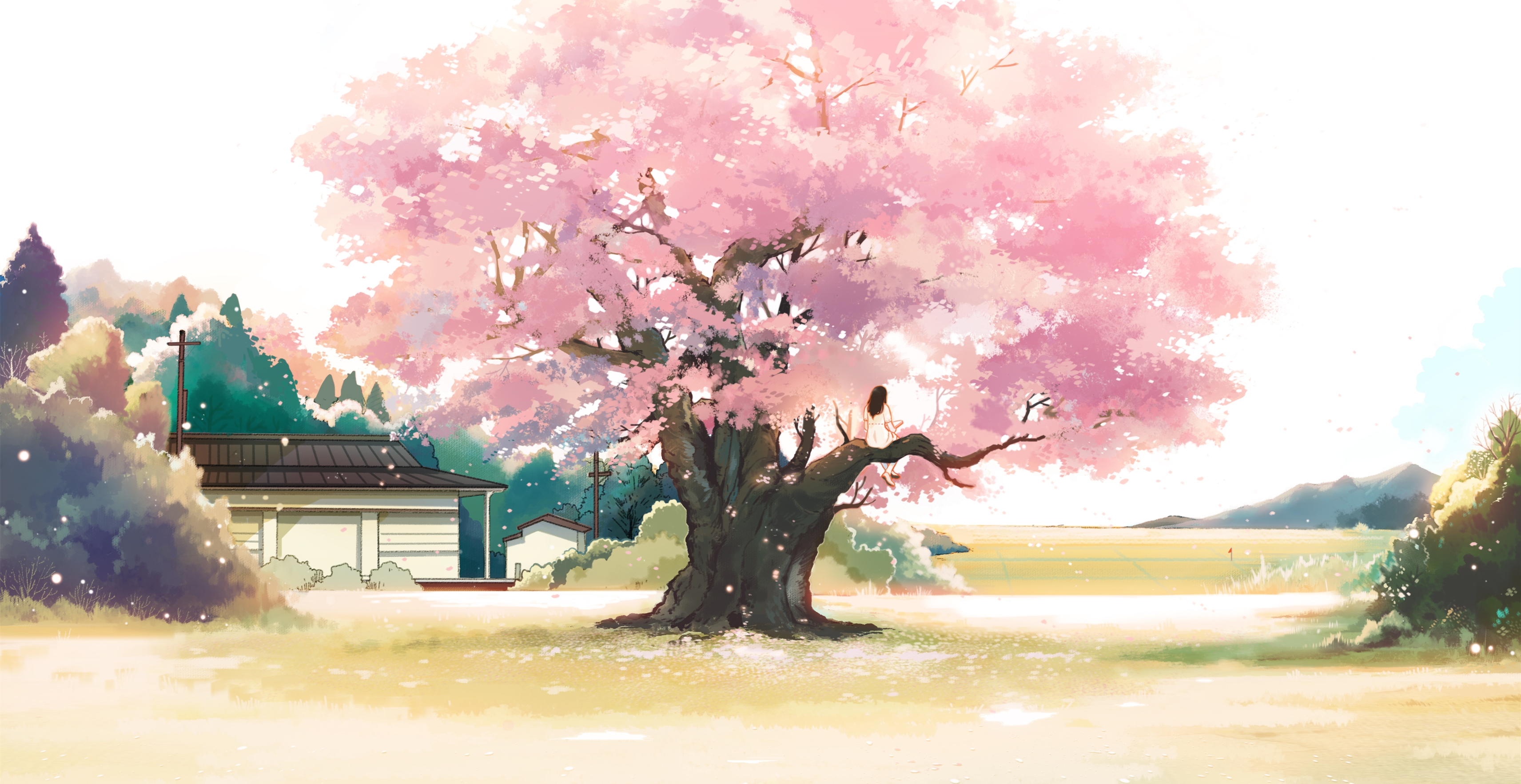 Cherry Blossoms Anime Scenery Wallpapers