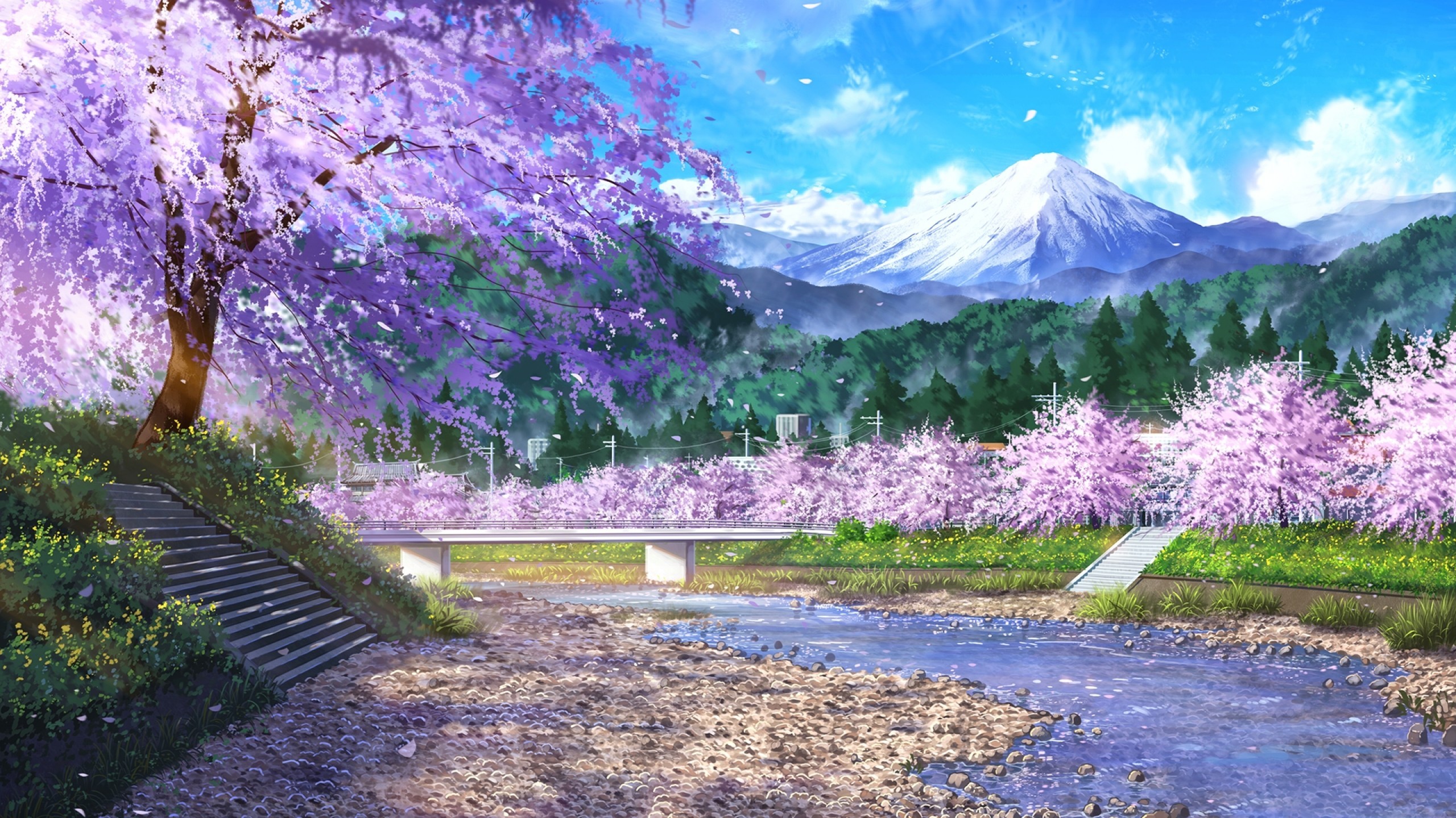 Cherry Blossoms Anime Scenery Wallpapers